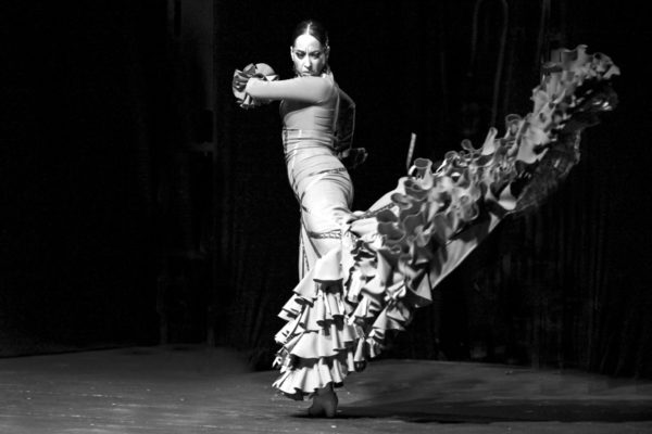 fotografía flamenco