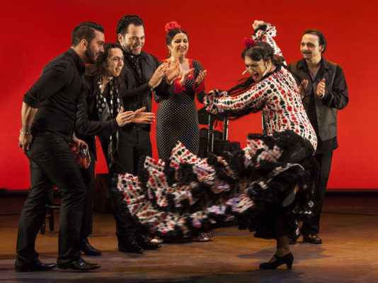 flamenco