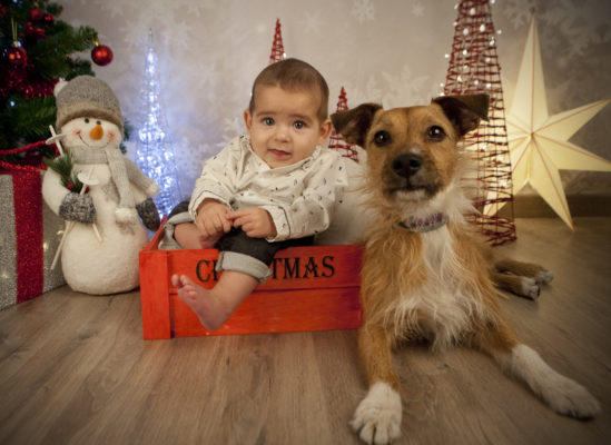 sesiones fotográficas de navidad